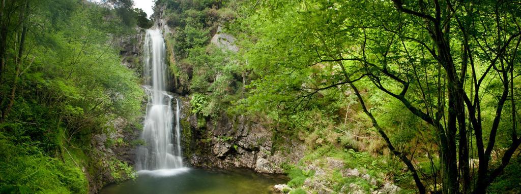 Apartamentos Rurales El Ferreiron Castropol Dış mekan fotoğraf