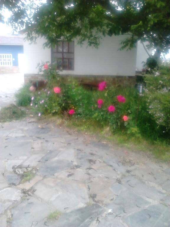 Apartamentos Rurales El Ferreiron Castropol Dış mekan fotoğraf